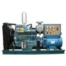 Générateur diesel 250kw haute performance OEM avec CE, ISO, EPA